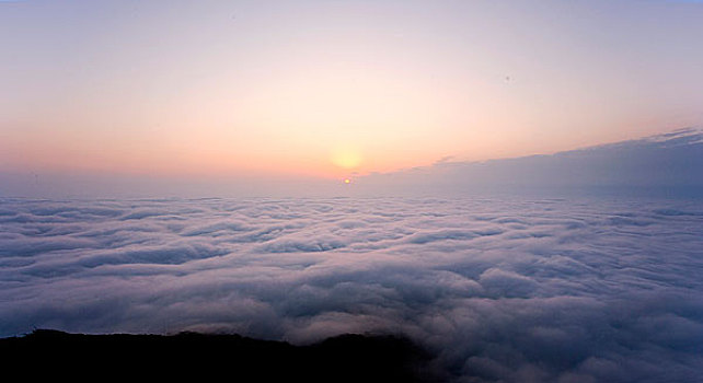 植物大战僵尸2010年度版辅助